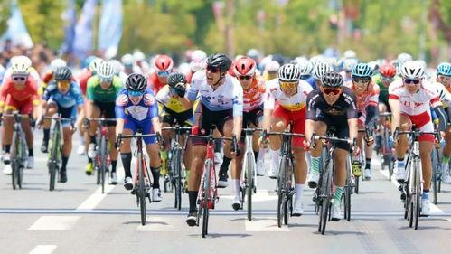 自行车成人测试视频,轻松掌握骑行技巧与安全知识